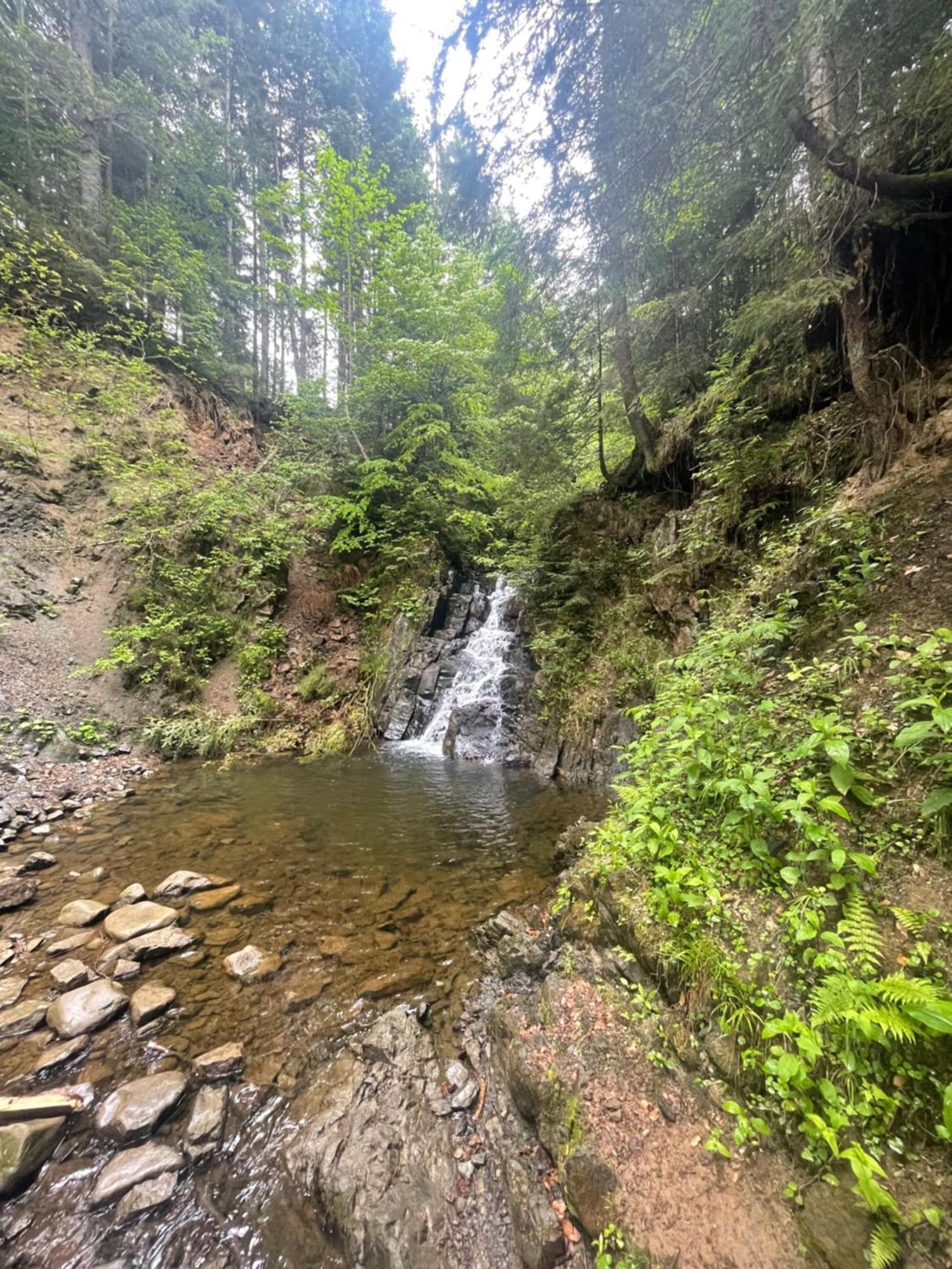 Апарт-Готель Синьогора Гута Экстерьер фото