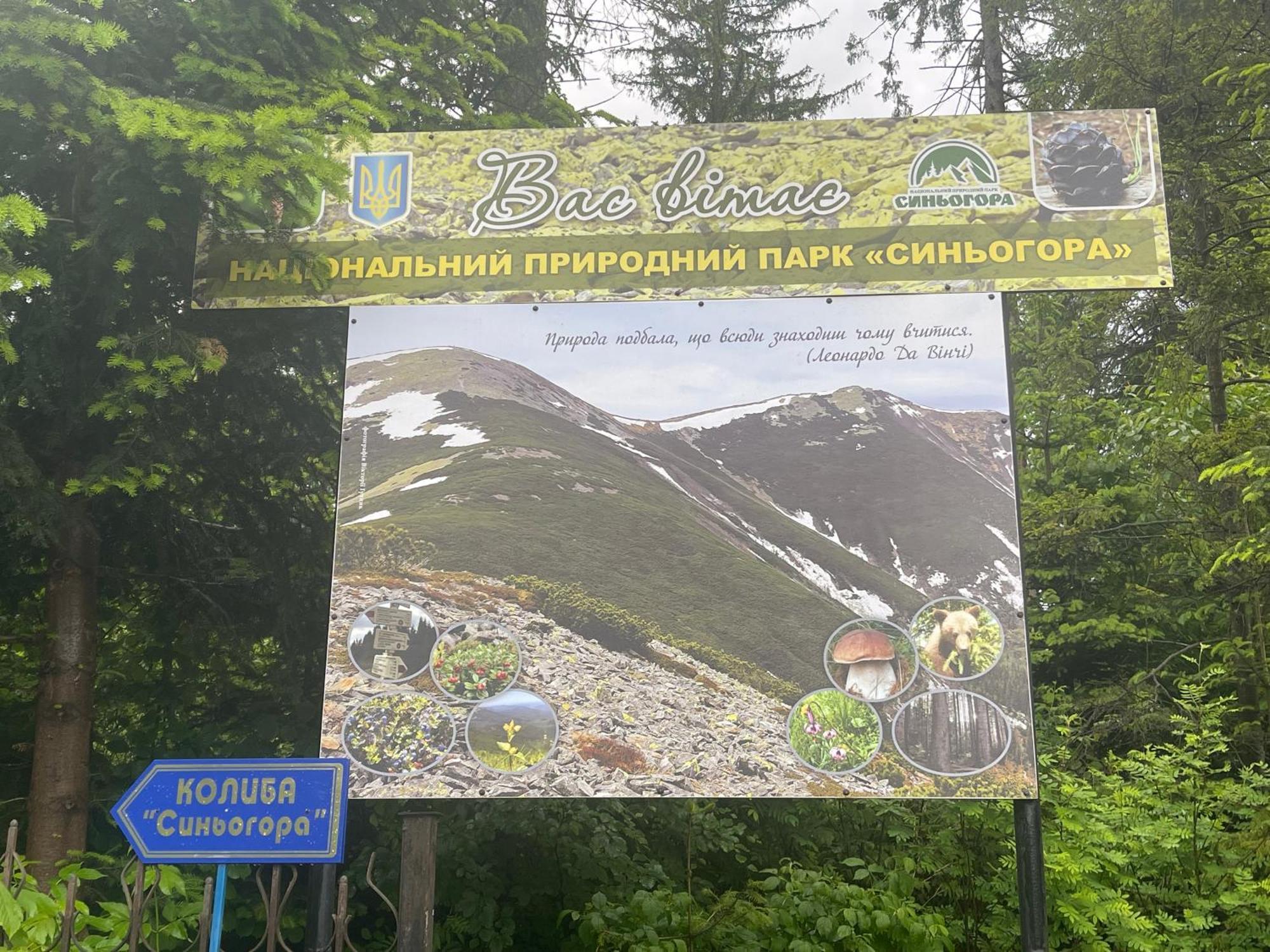 Апарт-Готель Синьогора Гута Экстерьер фото